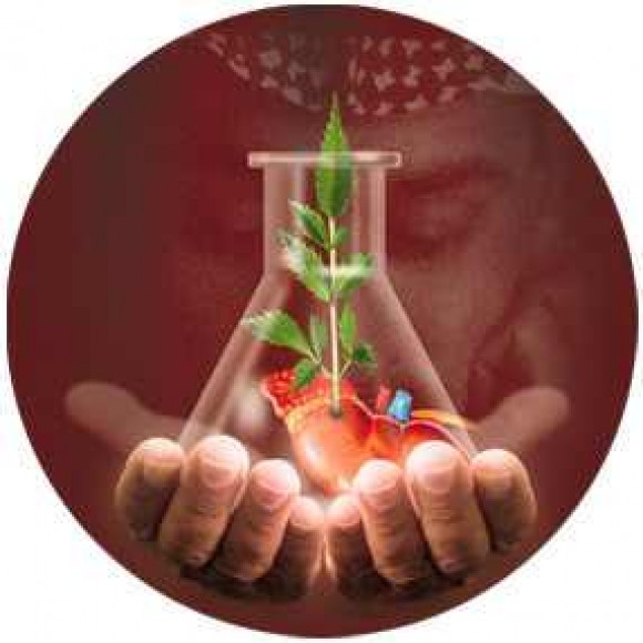 شعار مجموعة من الطب والحياة